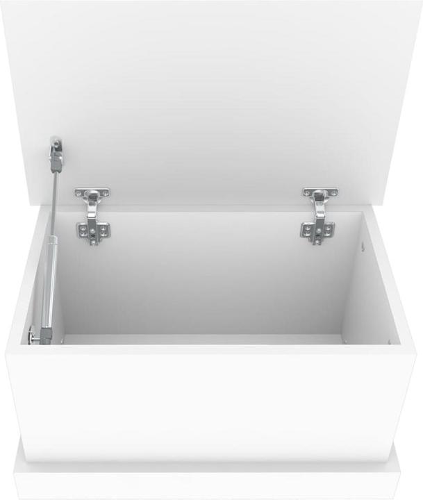 Image du produit VidaXL Giata (50 x 30 x 28 cm)
