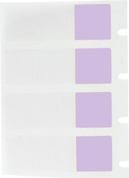 Productafbeelding Brady PTL-29-427-PL, vinyl, zelflaminerend, paars/transparant, mat, 12,70 x 12,70(38,10) mm
