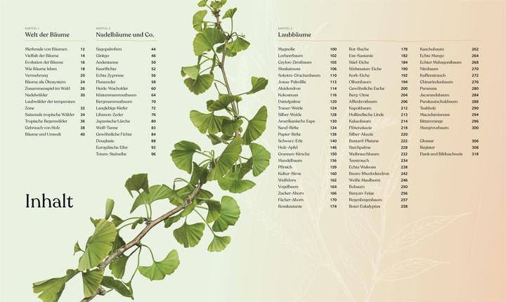 Image du produit Bäume - Eine Natur- und Kulturgeschichte (Allemand, Andrew Mikolajski, Michael Scott, Keith Rushforth, Dr. Ross Bayton, Agnes Pahler, 2022)