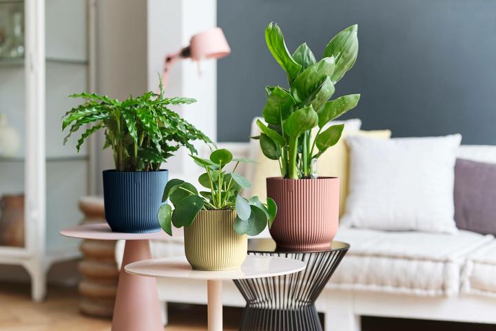 Immagine prodotto Elho Vibes Fold (22 cm)