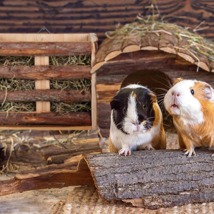 Actual product image Relaxdays 2x hay rack