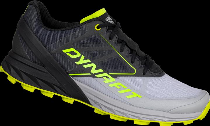 Dynafit Alpine Laufschuh (46.5)