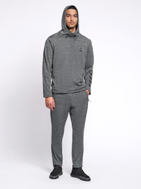 Actual product image hummel Aston Hoodie (S)