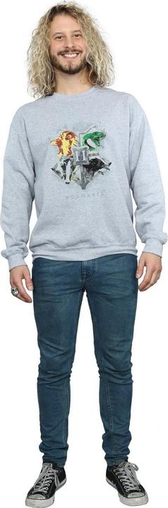 Produktbild Hogwarts Painted Crest Sweatshirt (XL)