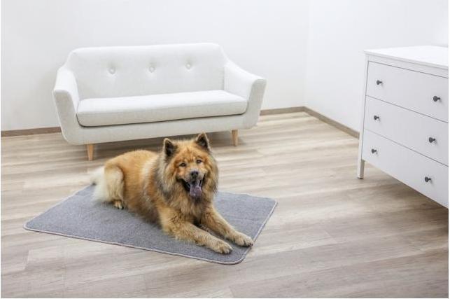Immagine prodotto Kerbl Tappeto termico (Cane)