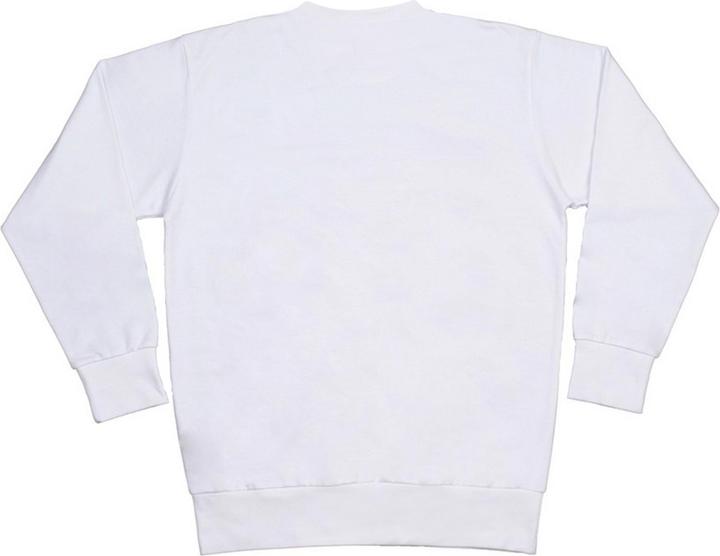 Actual product image The Sweatshirt (S)