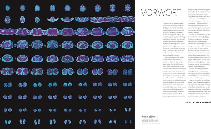 Produktbild Anatomie und Physiologie (Deutsch, Andreas Held, DK Verlag, Simone Blass, Nikola Schmidt, Alice Roberts, 2023)