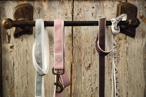 Immagine prodotto Designed by Lotte Virante (L, Cane, Passeggiare)