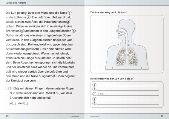 Produktbild Ich kenne meinen Körper - Blutkreislauf und Atmung (Deutsch, Katrin Langhans, 2015)