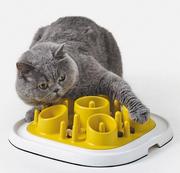 Image du produit Savic Pet Enigma moyen 11