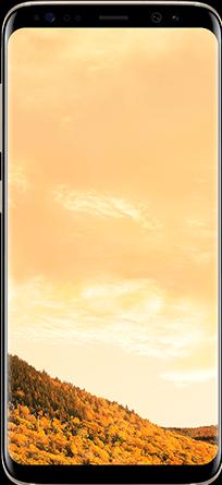 Produktbild Samsung Galaxy S8 Duos (64 GB, Maple Gold, 5.80", Hybrid Dual SIM, 12 Mpx, 4G)