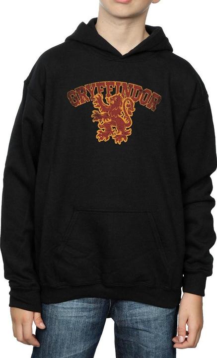 Actual product image Boys Gryffindor Sport Emblem Hoodie (140, 146)