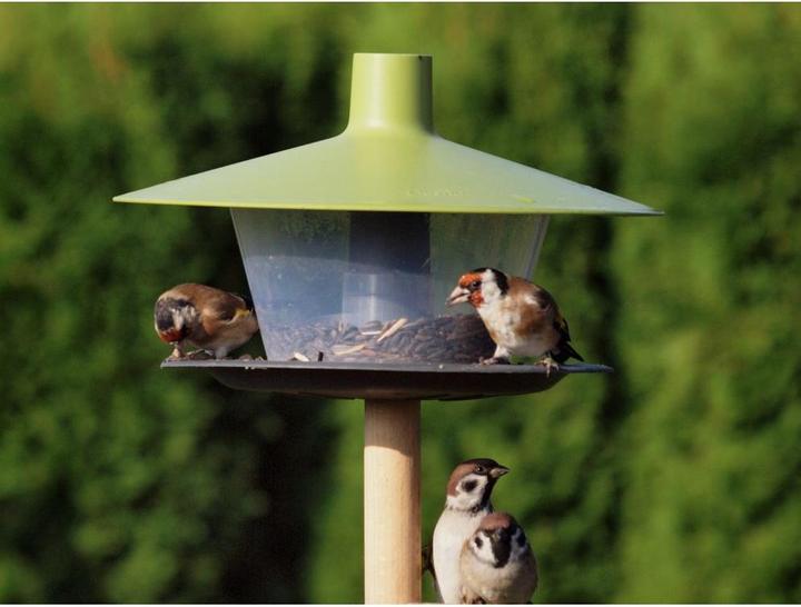 Image du produit Siena Garden Maisons d'oiseaux