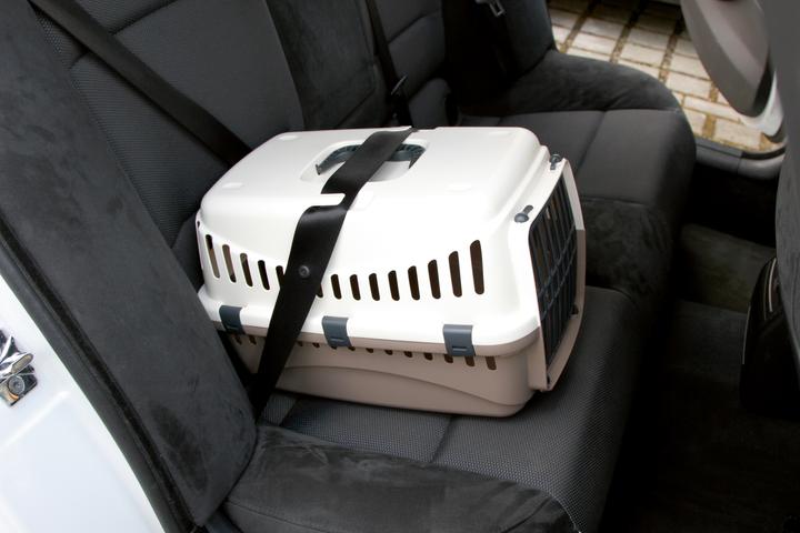 Immagine prodotto Kerbl Scatola di trasporto Expedition (Gatto, Cane)