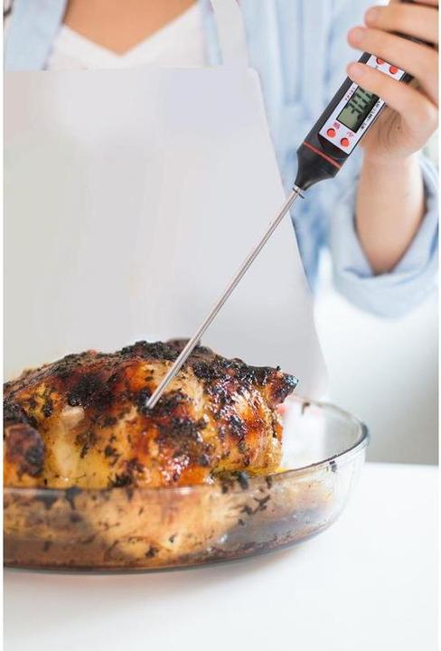 Actual product image No Name TP-101 Roast Thermometer