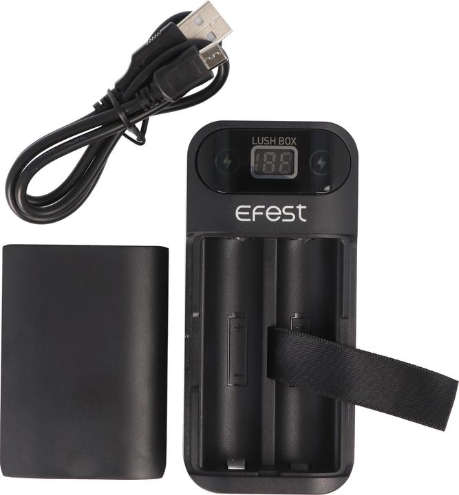 Actual product image Efest Powerbank and 18650 Li-ion charger for 18650 3.6V -3.7V Lithium Ion batteries, without batteries (1 pcs., 18650, Battery + charger)