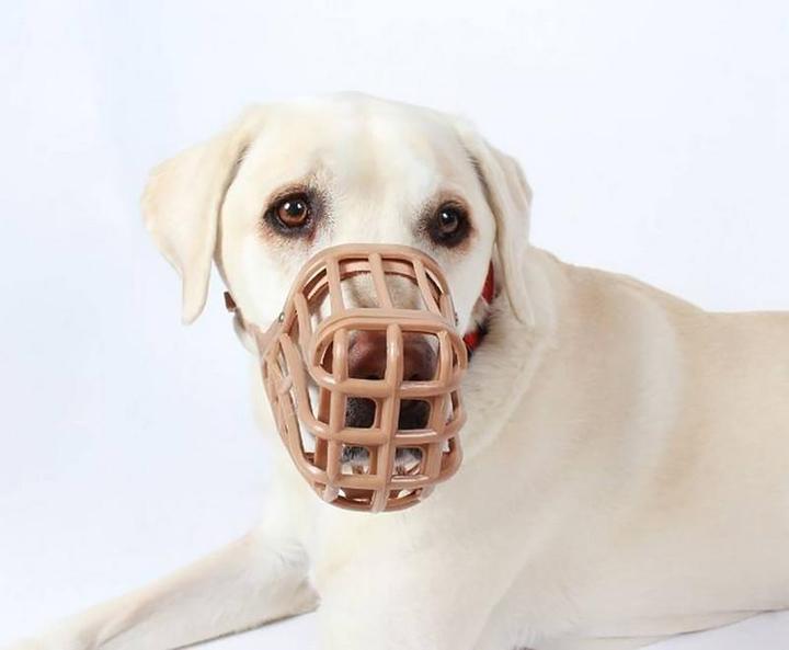 Immagine prodotto Company of Animals Muso classico Baskerville (Cane)