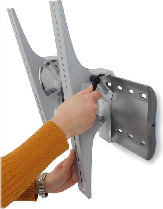 Image du produit Ergotron Support Mural Inclinable (Mur, 32")