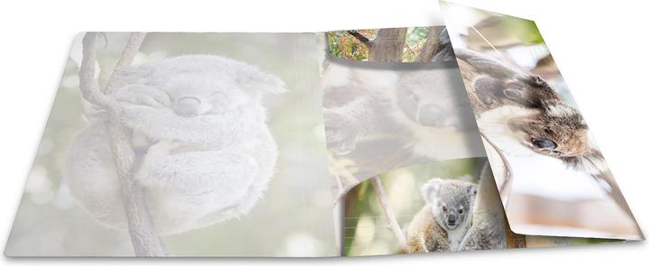 Image du produit HERMA Porte-documents A3 Motif (A3, 1 x)