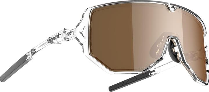 Image du produit Tripoint 003 Reschen Tri-x Polarized (shiny crystal-brown, Marron, Argent Mirror Polarized)