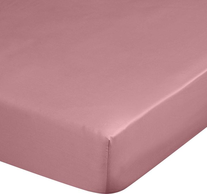 Actual product image Eurofirany DIVA LINE DINA sheet in cotton satin with elasticated band 180 x 200 x 30 cm (180 x 200 cm)
