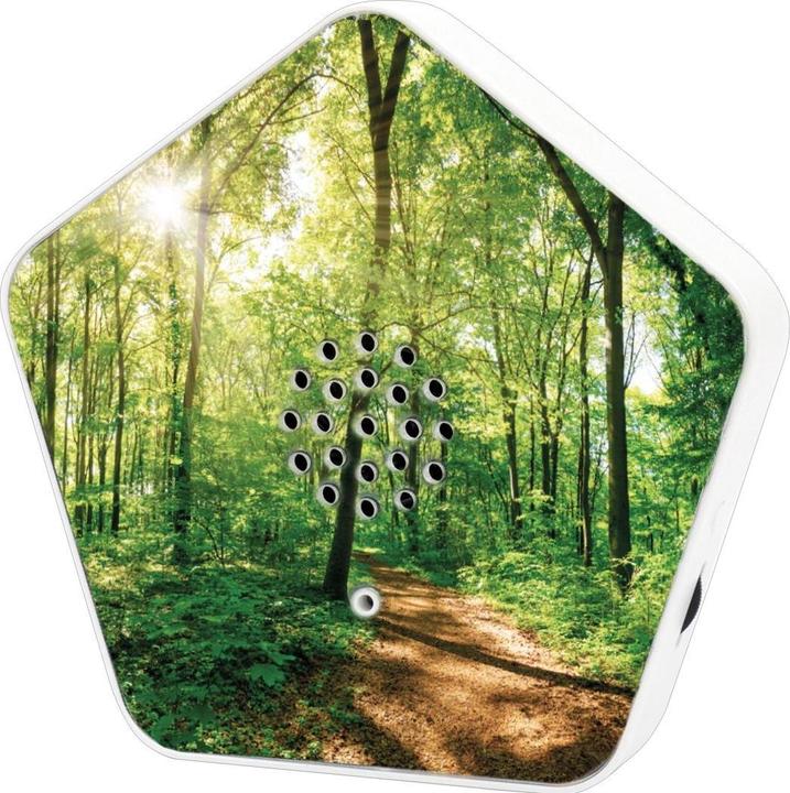 Produktbild Olympia Olymp Nature BOX