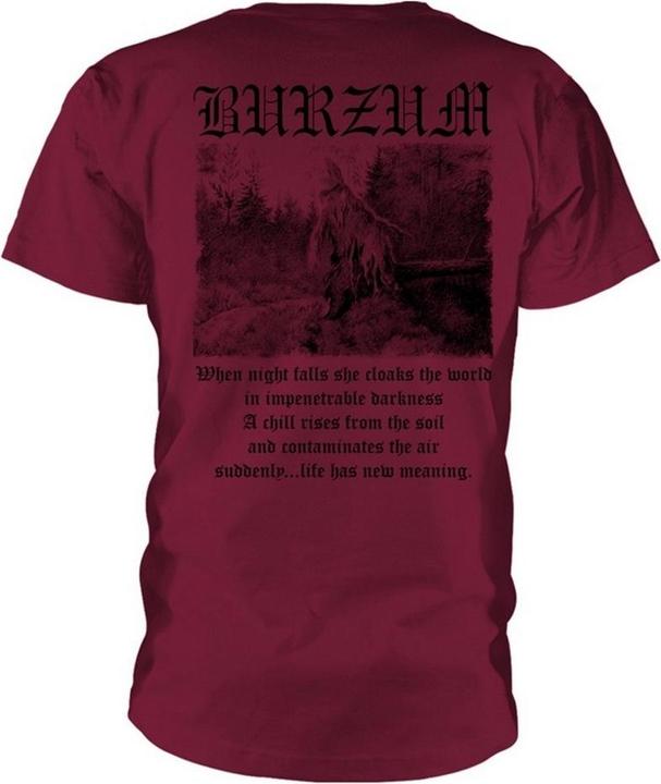 Actual product image Universal Textiles Unisex Adult Filosofem 3 T-Shirt (XL)