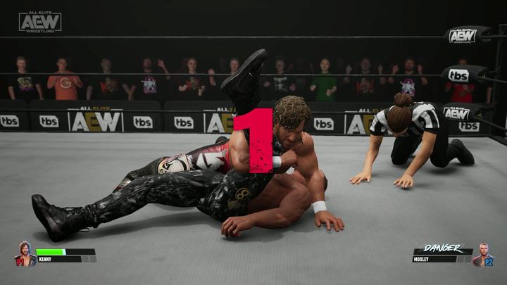 Actual product image THQ AEW: Fight Forever (PS4, PS5, DE)