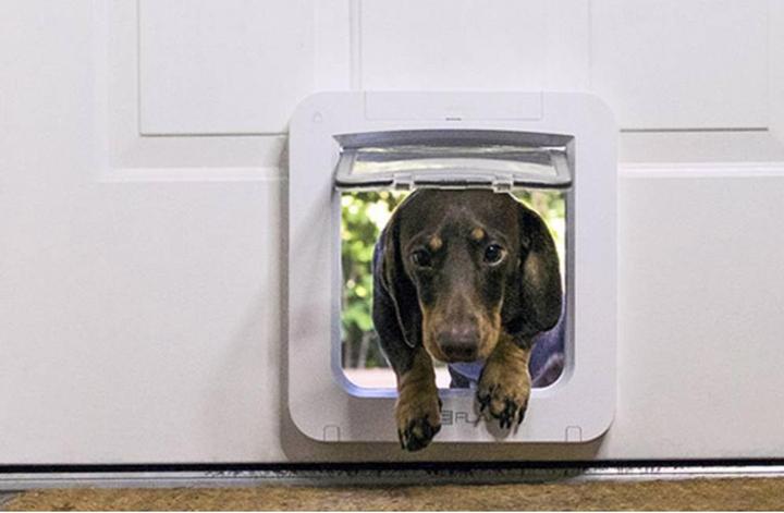 Image du produit SureFlap Connexion (Chatière à micropuce)