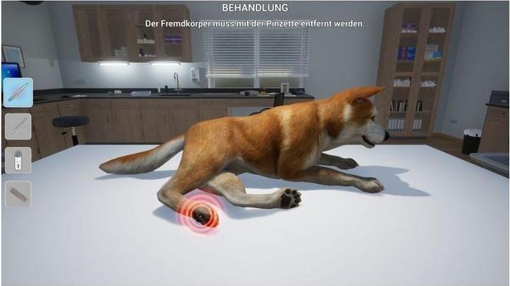 Actual product image My veterinary practice: On the farm (Switch OLED, Switch Lite, Switch, DE)