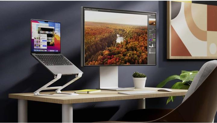 Actual product image TwelveSouth Curve Flex