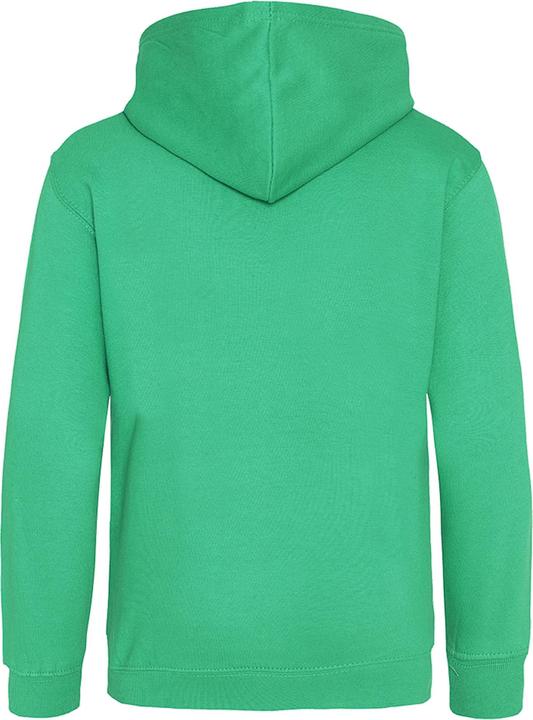 Actual product image Awdis Hooded jumper (98)