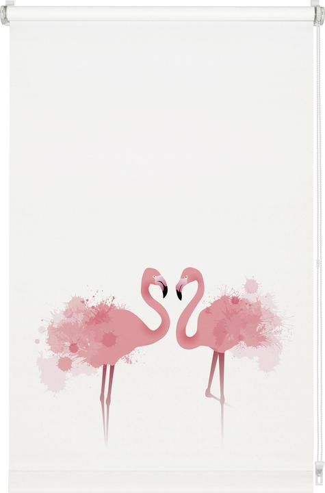 Immagine prodotto Gardinia Tenda a rullo EASYFIX Digiprint Flamingo (80 x 150 cm)