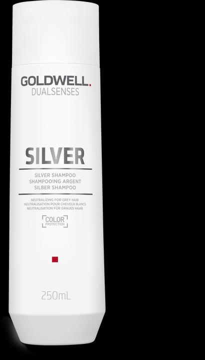 Produktbild Goldwell Dualsenses Silver Shampoo (250 ml, Flüssiges Shampoo)