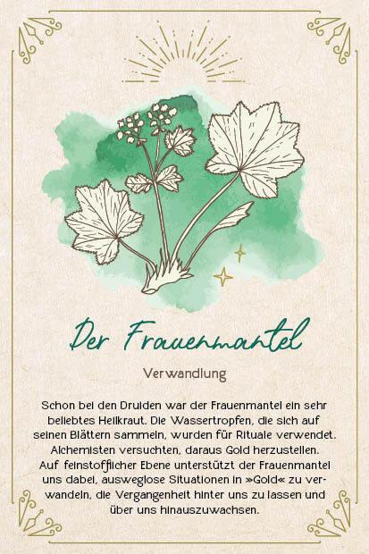 Produktbild Strassmair:Orakel-Karten-Box: Naturmome (Deutsch, Sabine Strassmair, 2024)