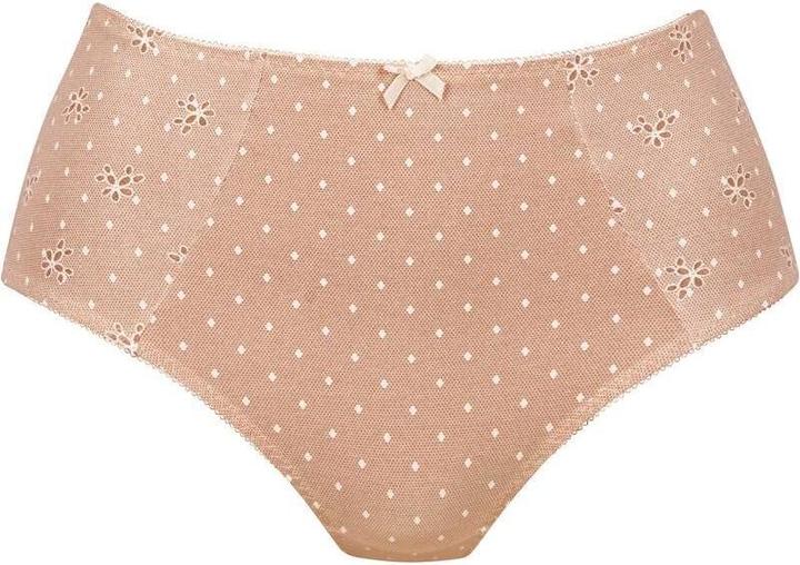 Actual product image Anita 's high-waisted briefs belvedere (52)