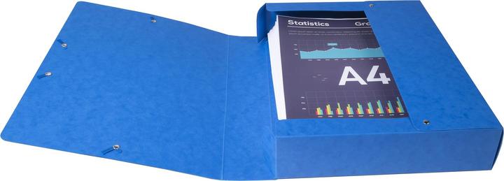 Produktbild Exacompta Exabox (A4)