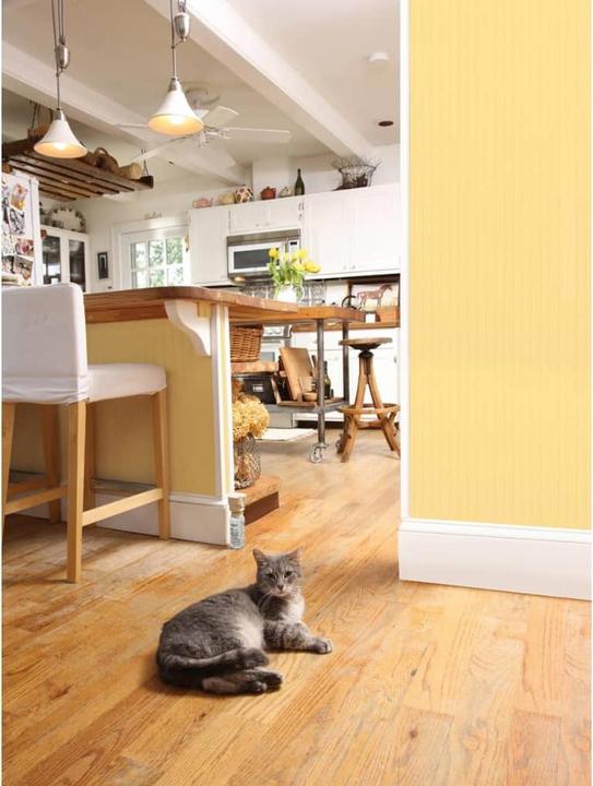 Immagine prodotto PetSafe Ssscat (Gatto)