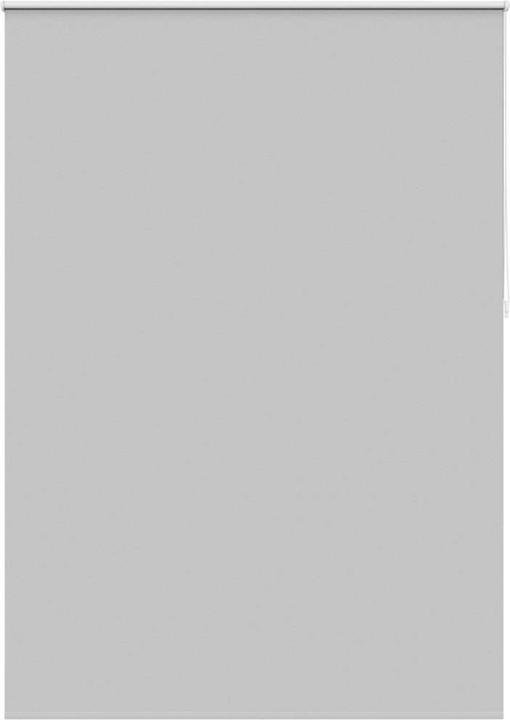 Gris