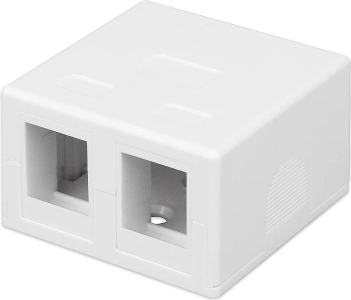 Immagine prodotto Techly Presa a Muro per 2 Frutti Keystone Bianco