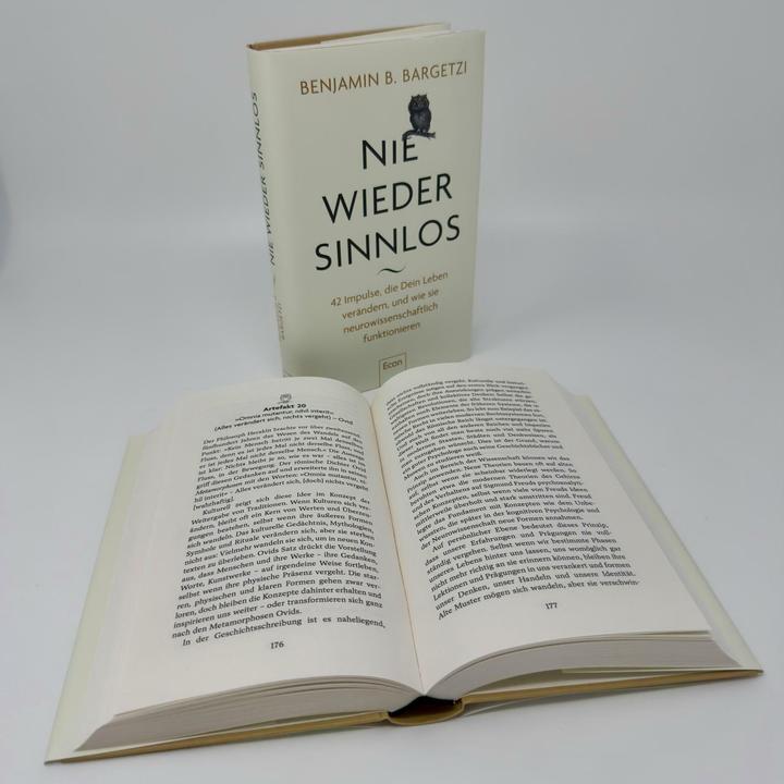 Produktbild Nie wieder sinnlos (Deutsch, Benjamin B. Bargetzi, 2025)