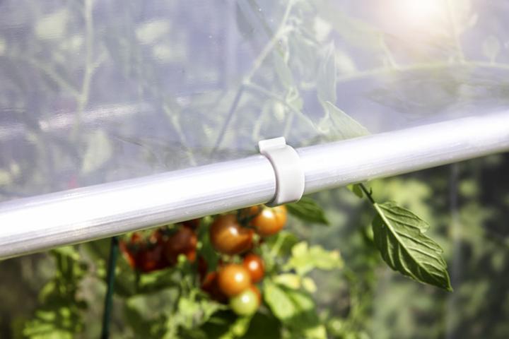 Image du produit Windhager Film de remplacement pour la serre de tomates