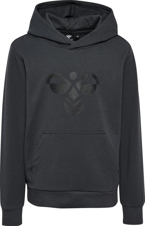 Actual product image hummel hmlCUATRO HOODIE (104)