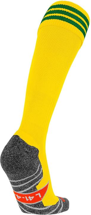 Actual product image Stanno Ring Sock (25 - 27, 28 - 29)