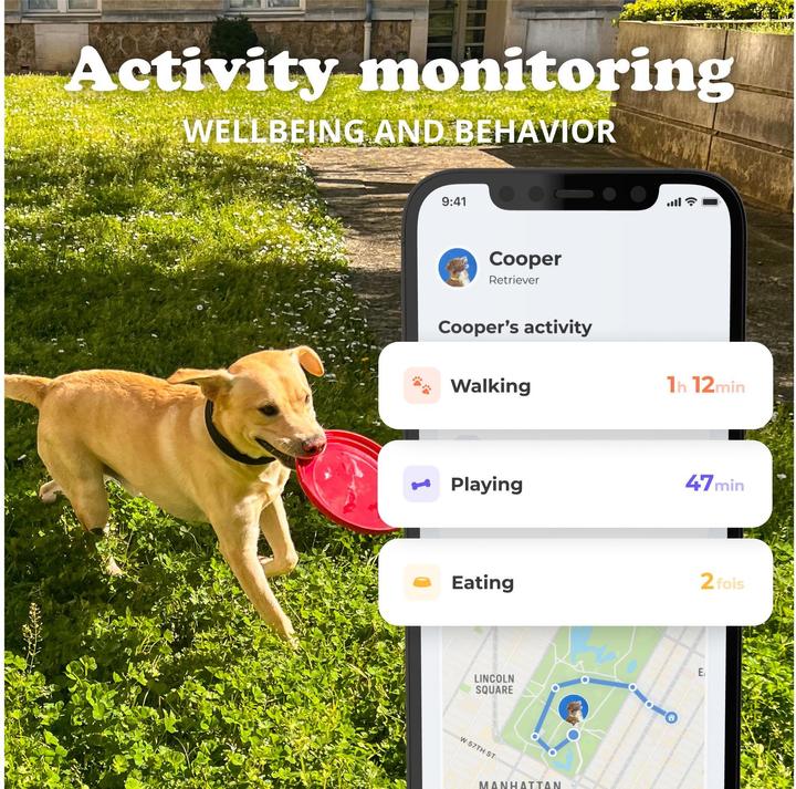 Produktbild Invoxia Smart Dog Collar taille S (Hund)