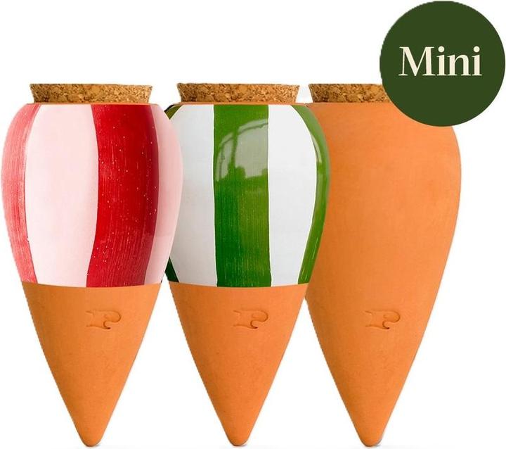 Pepin Mini Ollas (Clay cone)