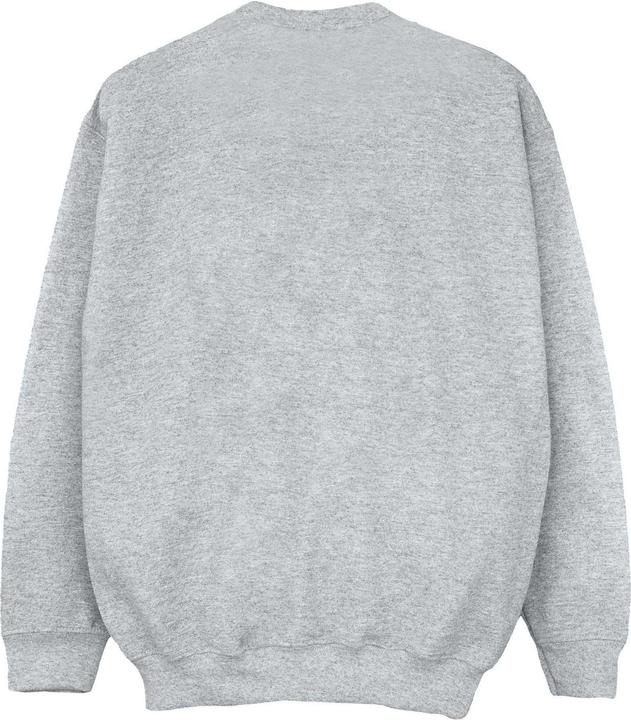 Produktbild Sweatshirt Mädchen (140, 146)