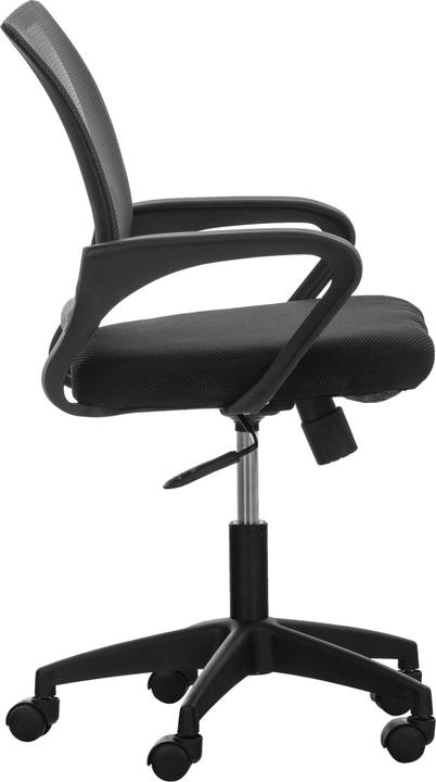 Actual product image CLP Auburn