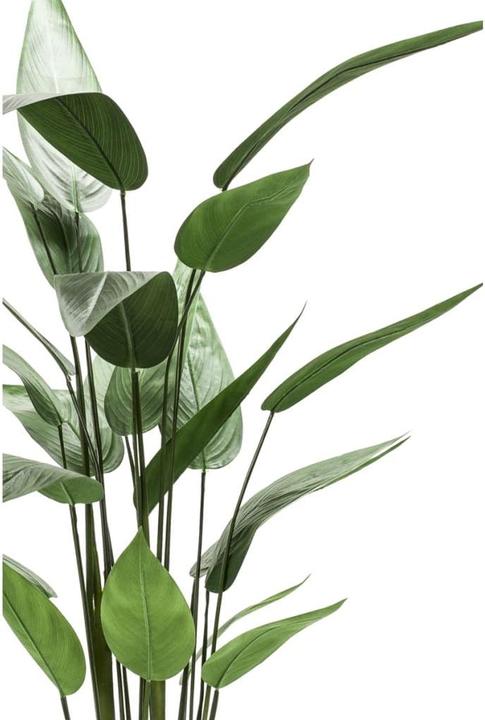 Produktbild Emerald Bara (125 cm)