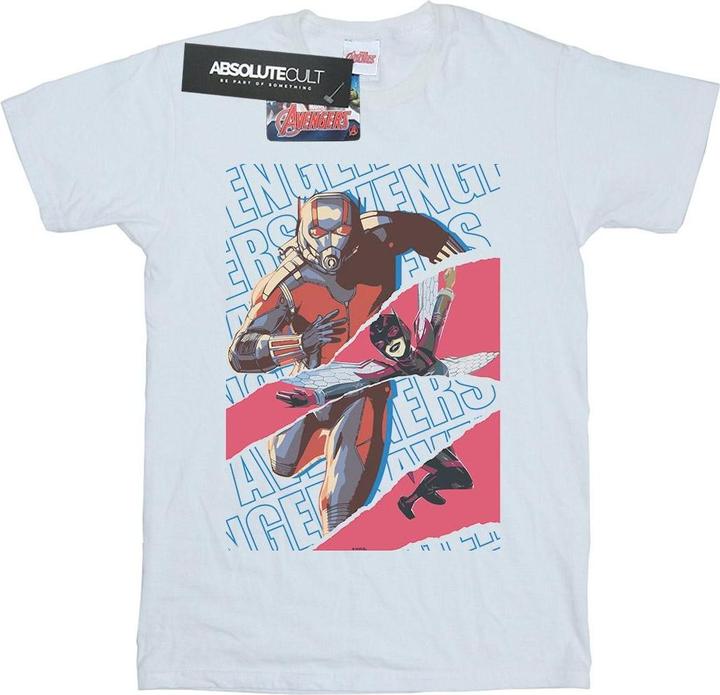 Actual product image Mens Avengers Ant-Man And The Wasp Collage T-Shirt (4XL)